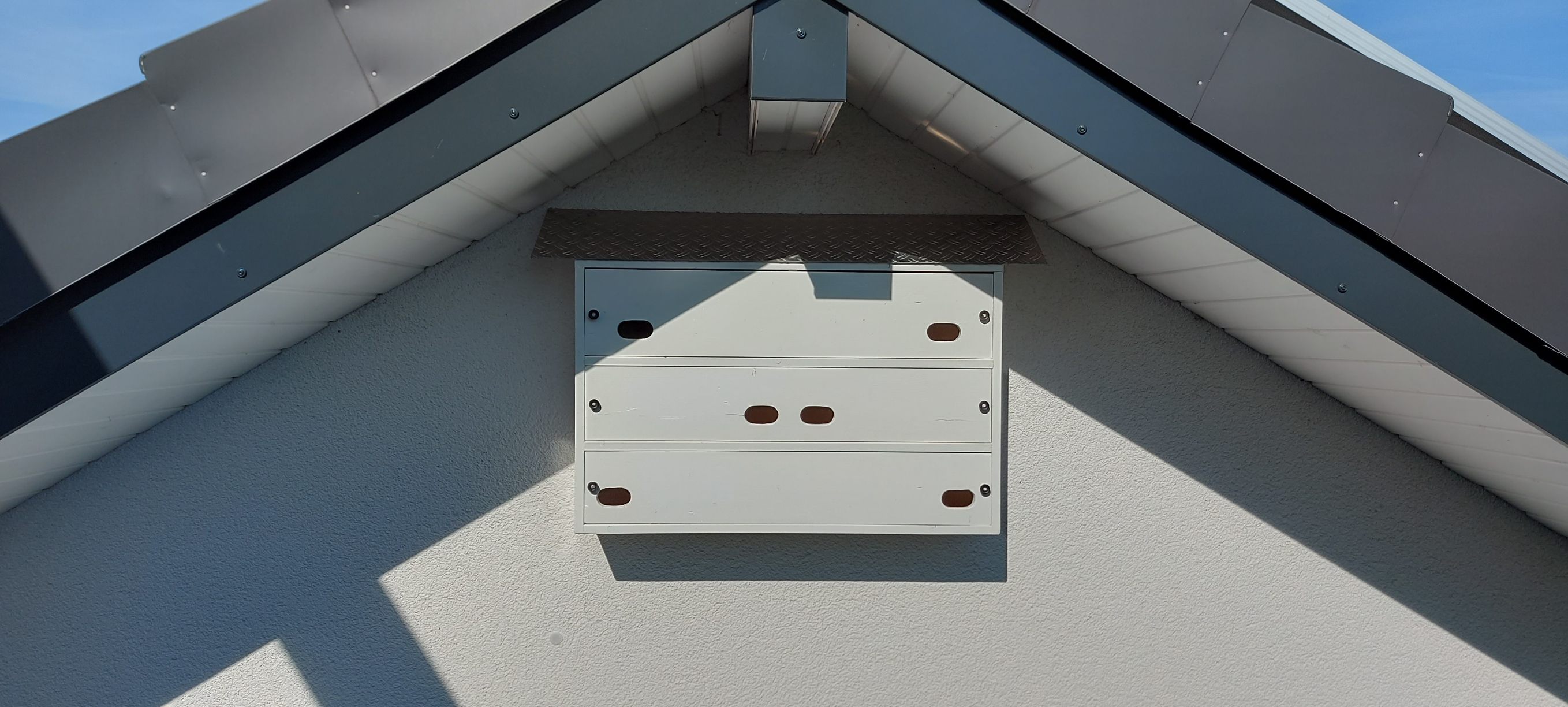 Mauerseglerkasten